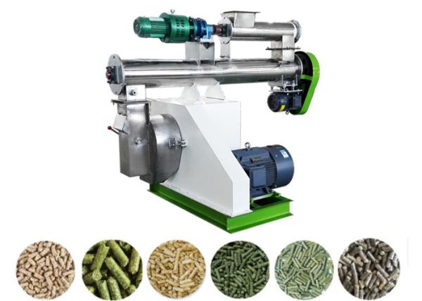 Stainless Steel Pellet Making Machine Medium Farm Feed Pellet Mill SKF Bearing