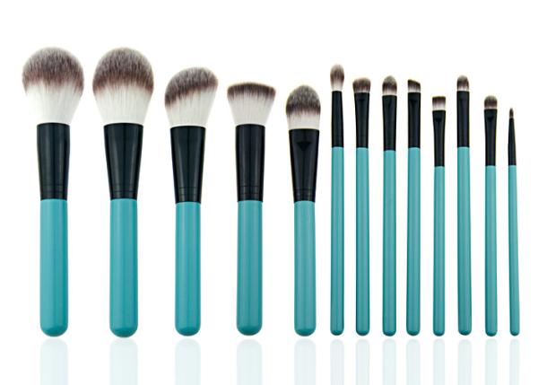 Eye Shadow Eyeliner Professional Makeup Brush Set With Leather Cosmetic Bag