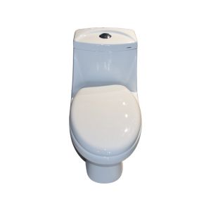Single Piece Toilet