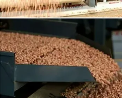 Lámpara de led luz UV esterilizar para el tratamiento de aguas residuales inodoro hotel taller de alimentos