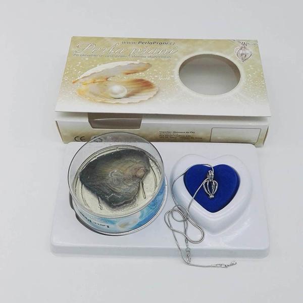 Festive Birthday Gift Love Wish Pearl Kit Heart Cage Pendant with 17