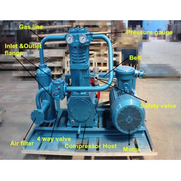 Взрывозащищенный компрессор газа Лпг мотора Лпг насоса Лпг для бензоколонки Лпг