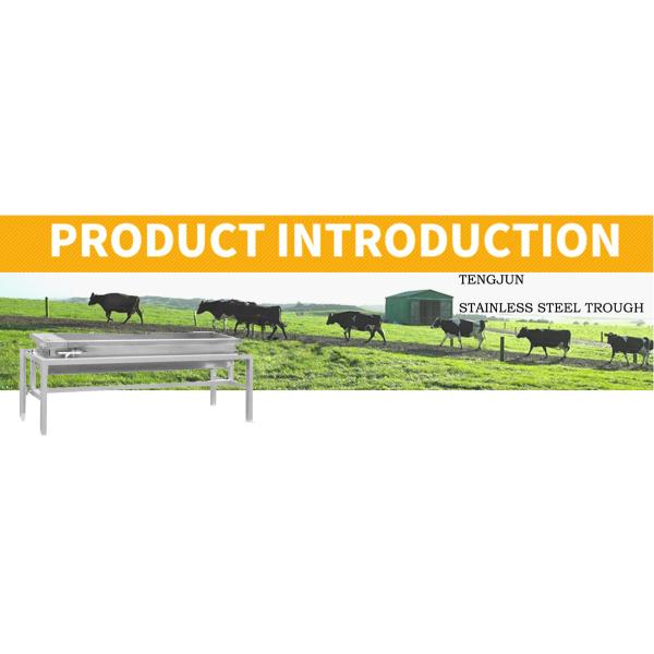 Durable Cattle Drinking Trough 304 Stainless Steel Waterer for Dairy Farms