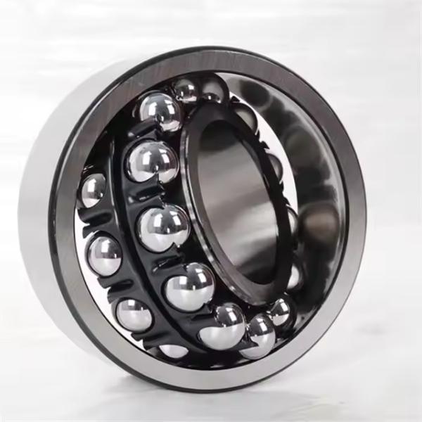 Good Performance Self Aligning Ball Bearing 2202 Bearing