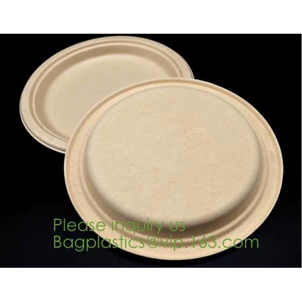 Food Eco Friendly Dinnerware Fruit Snack Biodegradable Corn Starch PLA Foamed