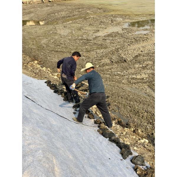 セメント注入型ジオシンセティックブランケット (CCB)   敷設。加水。硬化。