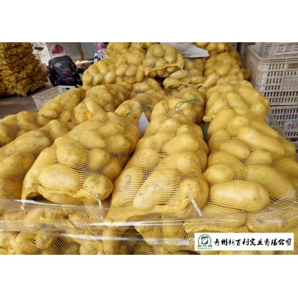Small Size Fresh Potato 100 G - 200 G Supply To Wholesaler And Supermarket