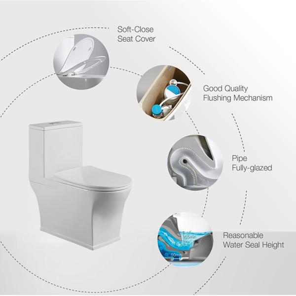 China Suppliers chaozhou SWM8620 ceramic toilet seat one piece toilet SWM8620