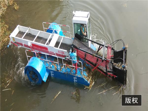 2021 ceifeira aquáticas da erva daninha/água Hyacinth Mowing Vessel/Reed Cutting Ship