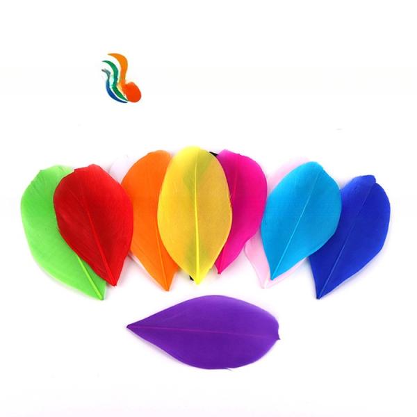 4 à 6 cm de costume de carnaval rayé Plumes, plumes de nagouire d' oie Des dessins accrocheurs