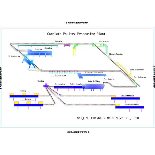 SS 304 Автоматическая машина для убоя цыплят цыпленок цыпленок цыпленок цыпленок цыпленок цыпленок цыпленок цыпленок цыпленок цыпленок цыпленок цыпленок цыпленок цыпленок цыпленок