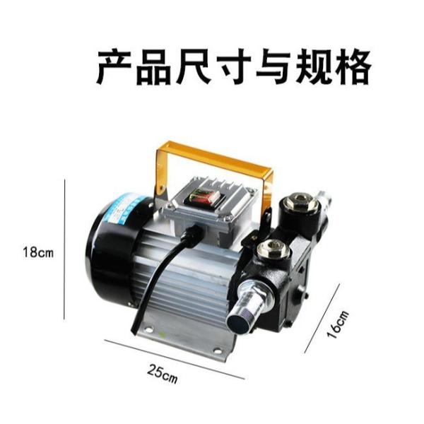 ACTP60 High Flow Water Pump Compact 220 Volt 60L/Min Single Stage Transfer Pump