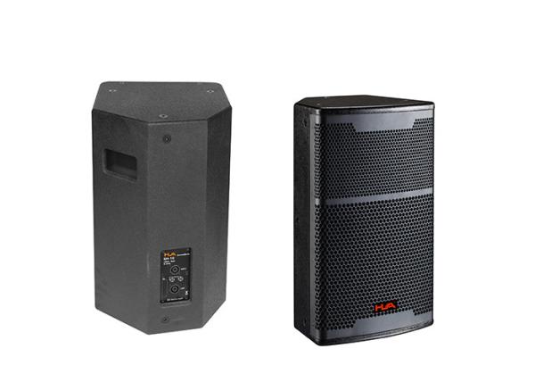 10 Inch 200 Watt Full Range Speaker For Black Plywood , Sound System For Concert