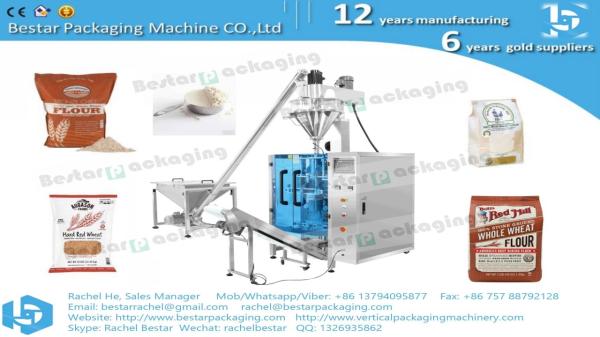 Bestar automatic packing machine for 2kg edible salt pouch packaging BSTV-450DZ