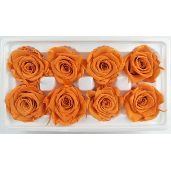 Wholesale preserved rose flower boxes from ecuador farm New year gift