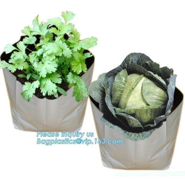 Planter Bags, Grow Bags, Cultivating Bags, Nursery Pot, Greenhouse, Agricultural Film,  Horticulture Garden