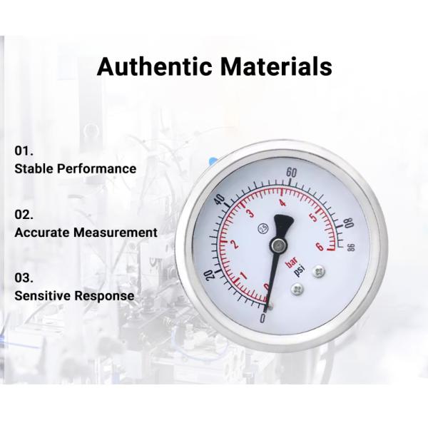 Back-Mounted 60mm Stainless Steel Bourdon Tube Pressure Gauge with Customized OEM Support