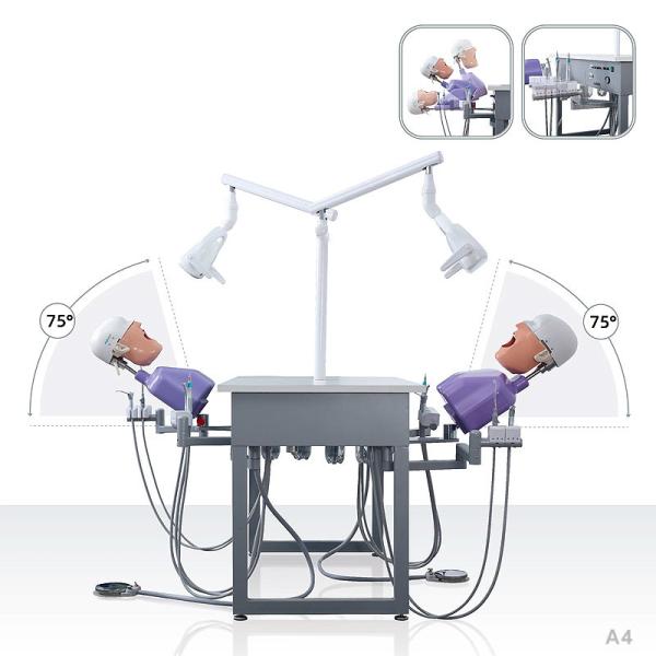 School Ultraportable Dental Phantom Head , Removable Dental Simulation Unit