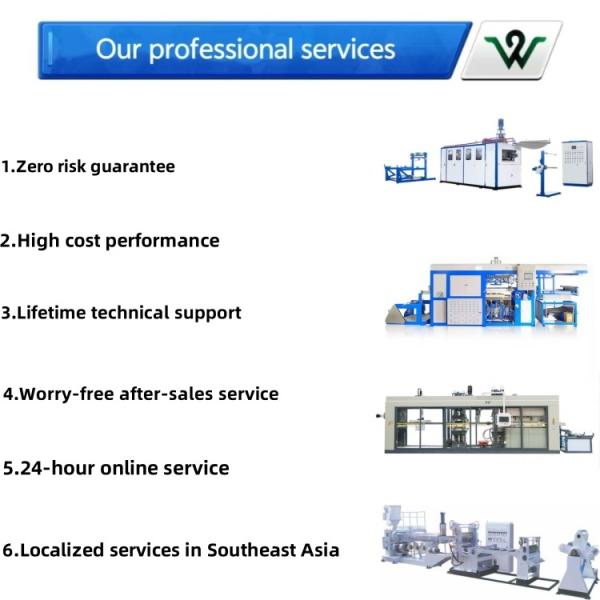 Fully Automatic Plastic Cake Box Making Machine Plastic Lunch Box Making Machinery
