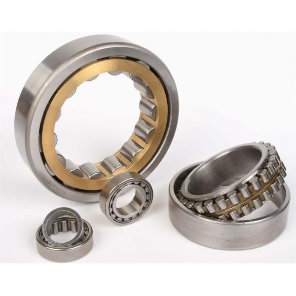 N1011BTKRCC1P4 Roller Contact Bearing For Machines Tool , Single Row Roller Bearing
