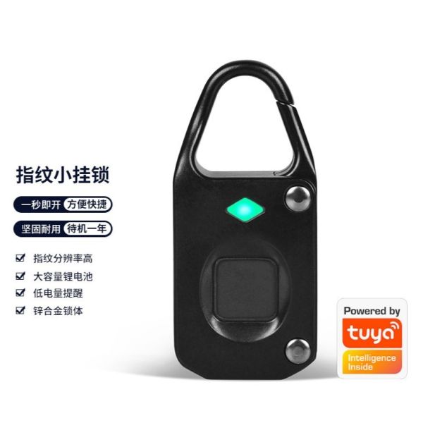 Hot Selling RARLUX DBX80 Zinc Alloy Durable Fingerprint Padlock Hardened Shackle Travel Luggage Security Gym/School Lockers