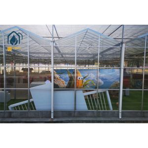 Intelligent Climate Control Multi Span Greenhouse with Cooling Pad and Exhaust Fan System...