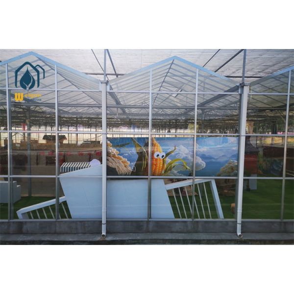 Intelligent Climate Control Multi Span Greenhouse with Cooling Pad and Exhaust Fan System...