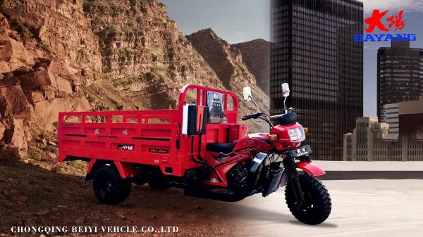 DAYANG 300cc Motociclo Triciclo 5 3 Retrovisores traseiros Folhas de Primavera Corpo Aberto Tipo Cargo Vermelho Adultos