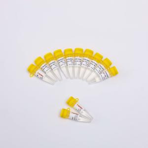 400 Reactions NGS Library Construction PCR Master Mix Reagents