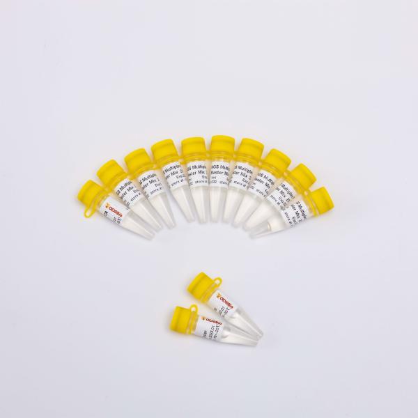 400 Reactions NGS Library Construction PCR Master Mix Reagents
