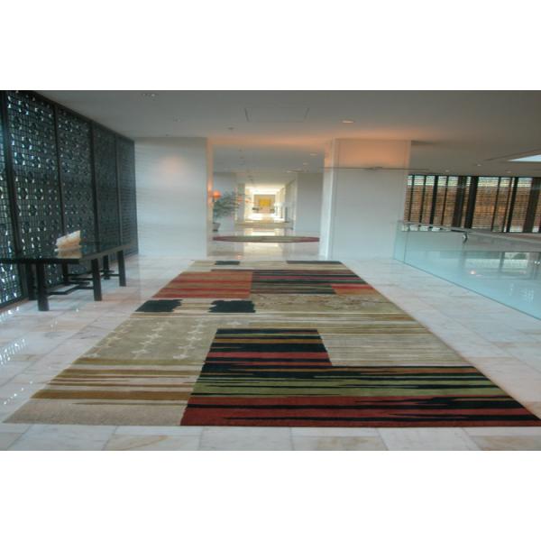 Alfombra contemporánea de Axminster con los modelos de nylon del 100% Brown