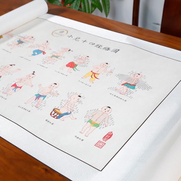 0.4 Diameter Acupuncture Culture Categories Teaching Supplies for Therapeutic Treatment