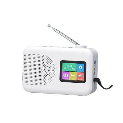 Private Mold Portable DAB/DAB FM Radio with Speaker and TFT Display AC Power Operated
