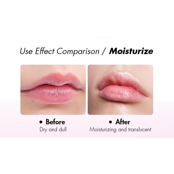 Fruit Flavor Lip Balm Moisturizing Lipstick Base Cute Anti-Cracking Natural Original Chapstick Lip Balml Set