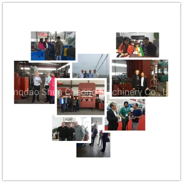 Customized PLC Controlled Rubber Vulcanizing Machine
