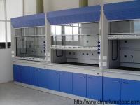 Fundamento de Hood High Temperature Resistant Adjustable das emanações do laboratório da construção de aço