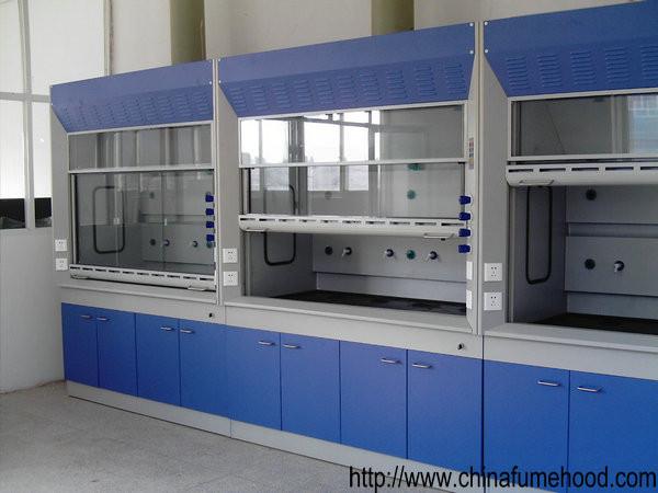 Steel Structure Laboratory Fume Hood High Temperature Resistant Adjustable Footing