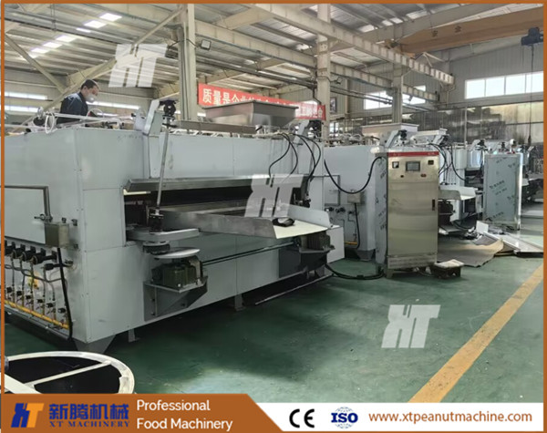 Almonds Commercial Nut Roaster Bean Electric Nut Roaster Automatic Swing Roaster Iso