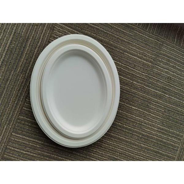 10 / 12 Inch Oval  Restaurant Nature Bagasse Paper Plates