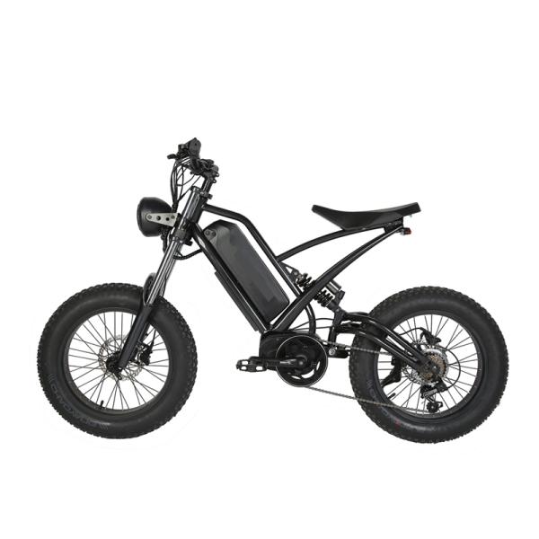 Down Tube Battery Position Fat Tire 1000W MTB Off Road Dirt Ebike Electric Bike Adult