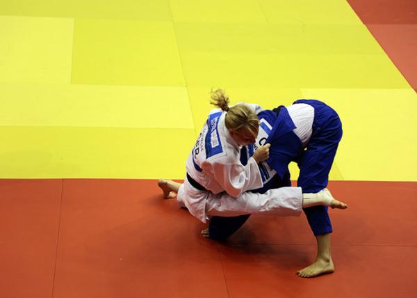 Esteiras coloridas high-density do judô da competição e do treinamento das artes marciais do jiu-jitsu de Bjj