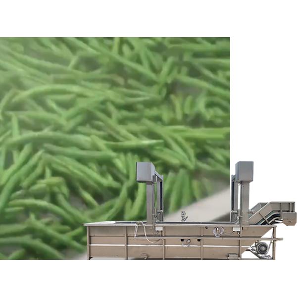 User-Friendly Automatic Industrial Blanching and Precooking Machine for Your Business