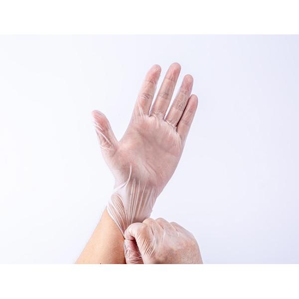 XXL 100 Disposable Vinyl Gloves Examination PVC Powder Free FDA