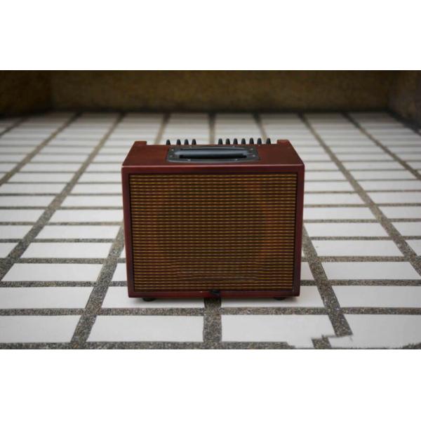 Chinese Guitar AMP Factory Professional Grand Style Acoustic Guitar Amplifier, 60W