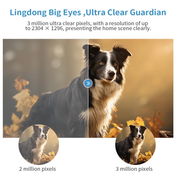 Privacy Protection Surveillance Camera with TF Card Support and Two Way Talk Function