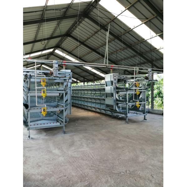 Egg Layer Battery Chicken Cage For 30000 Layers Fully Automatic Poultry Cage System
