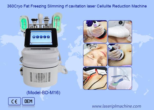 Máquina gorda del liposuction del cryolipolysis del hogar del helada del cryolipolysis portátil
