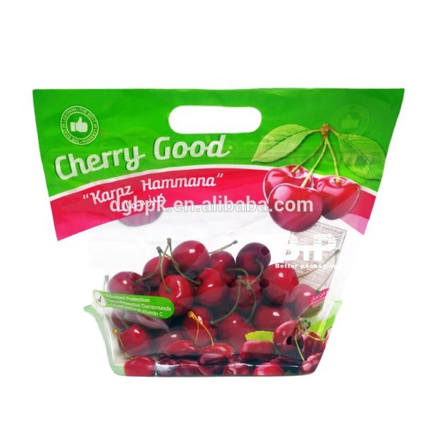 Grape Protection Packaging Bag Manufacturer Directly Sale BPA Free Perforated Plastic Fruit Food Package Stand up Pouch LDPE