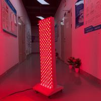 Panneau de thérapie par la lumière rouge LED 2000W Puissance réelle 600W Appareil de thérapie par la lumière rouge infrarouge