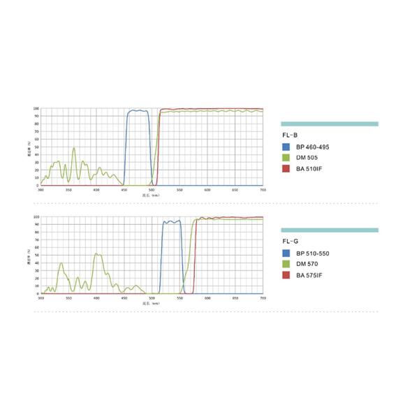 OPTO-EDU A16.1098 lleno motorizó el FB/el pH/el PL/FL/DIC optos de Edu Microscope Semi APO